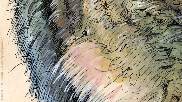 Das Fell des Hasen | Kunst Cartoon