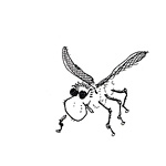 Tusche Zeichnung: Fliege