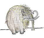 Tusche Zeichnung: Mammut
