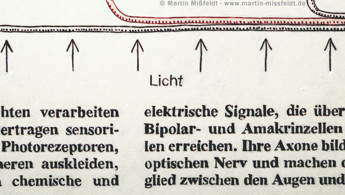 Light (schematic diagram) | Oilpainting Light (schematic diagram) | Oilpainting