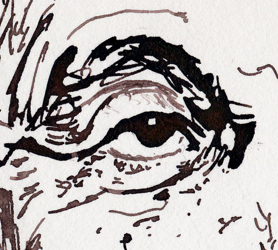 Tusche Zeichnung Auge