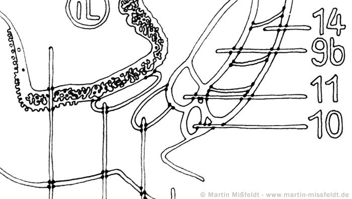 14 9b 11 10 | Fineliner drawing