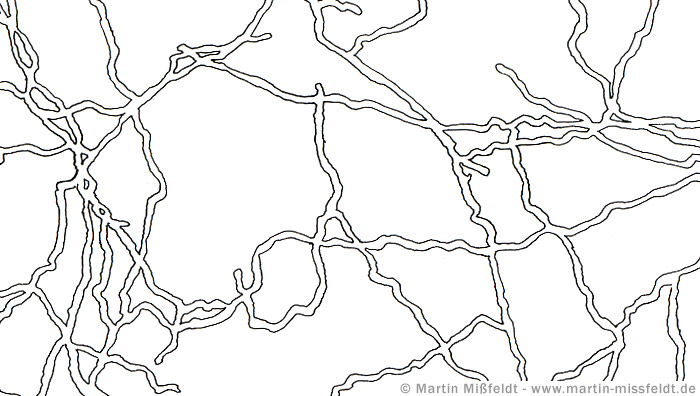 Strukturen | Fineliner Zeichnung