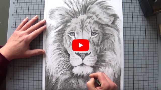 Löwenkopf realistisch zeichnen