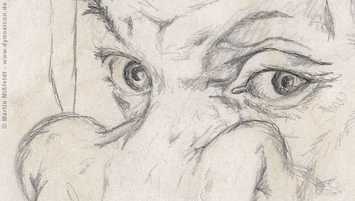 Die Augen von Dürers Mutter