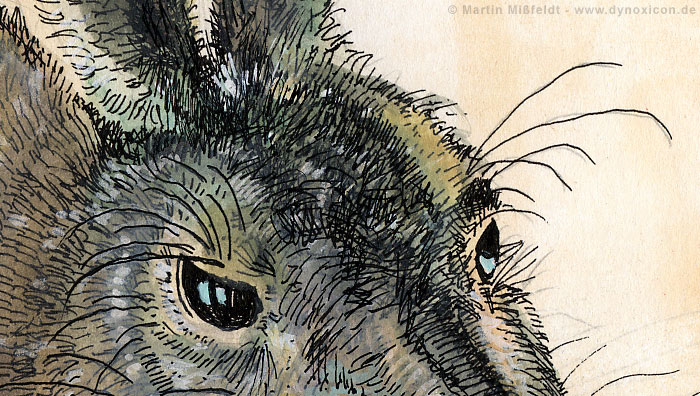 Die Augen des Feldhasen