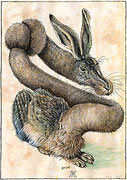 Hase nach Albrecht Dürer