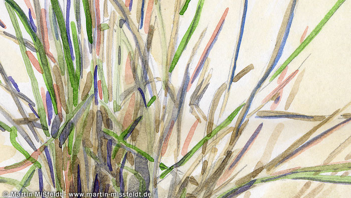Gras