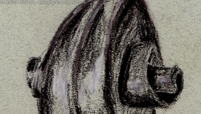 Schnecke der Violine