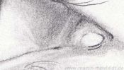 Auge Bleistiftzeichnen Lernen (Detail 2)