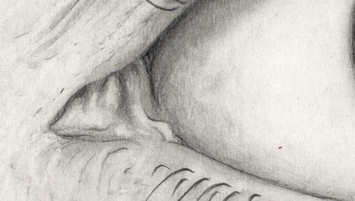 Auge Zeichnung (Detail 1)