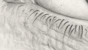 Auge Zeichnung (Detail 2)