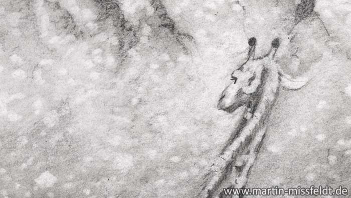 Bleistiftzeichnung Giraffenkopf (Detail 1)