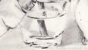 Bleistiftzeichnung Tulpe (Detail 2)