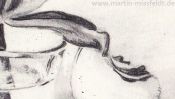 Bleistiftzeichnung Tulpe (Detail 4)