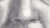 Nase (Portraitzeichnung, Detail 2)