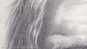 Haare (Portraitzeichnung, Detail 5)