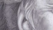 Ohr zeichnen, Portrait-Zeichnung (Detail 4)