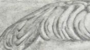 Julius Ceasar Bleistiftzeichnung (Detail 2)