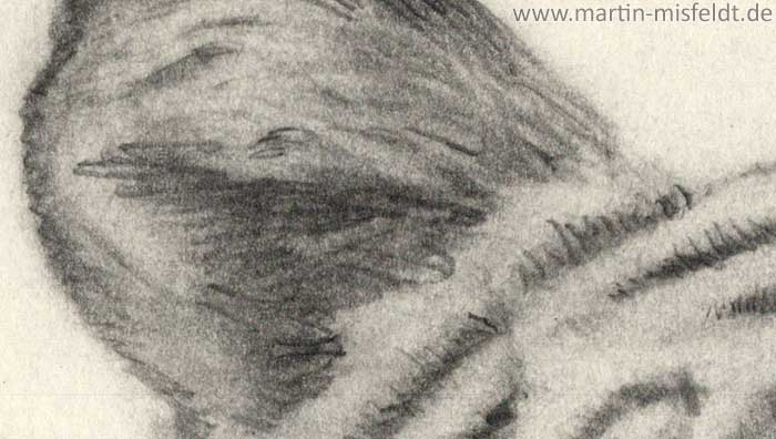 Tiger-Ohr, Zeichnung Detail 1