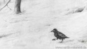 Rabe im Schnee (Detail 1)