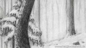 Verschneite Bäume im Wald (Detail 3)
