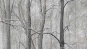 Zeichnung verschneiter Wald (Detail 5)
