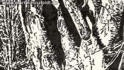 Massive Äste (Detail 1)