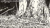 Baum und Waldboden (Brush-Pen Zeichnung) (Detail 3)