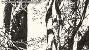 Licht und Schatten (Brush-Pen Zeichnung) (Detail 4)
