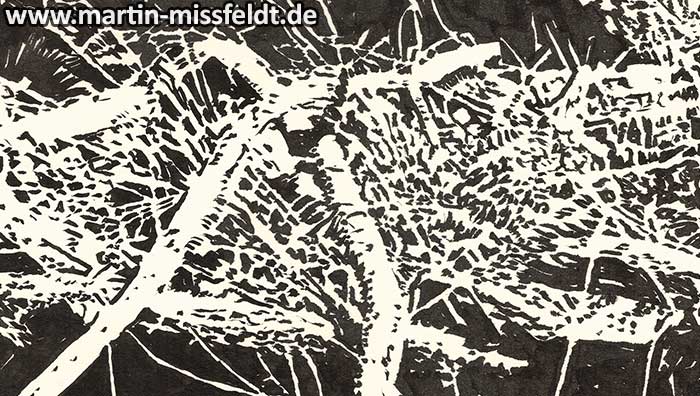 Brandenburger Waldboden (Detail 1)