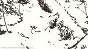 Der weiße Hauch des Winters (Tuschezeichnung) (Detail 3)