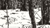 Im Reich Des Winterfuersten (Detail 1)