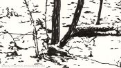 Im Reich Des Winterfuersten (Detail 2)