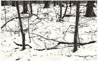 Im Reich des Winterfürsten (Winterlandschaft)