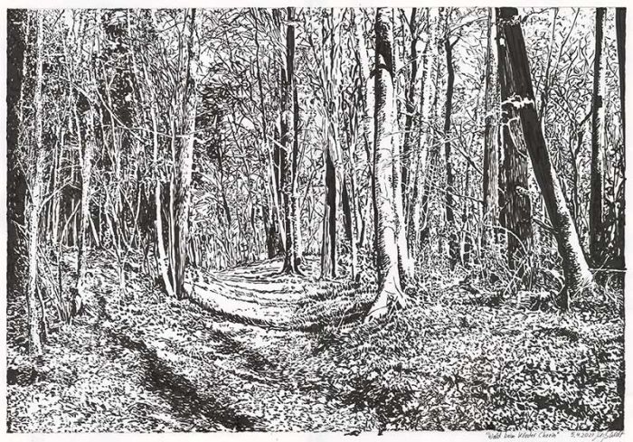 Landschaftszeichnung: Wald beim Kloster Chorin