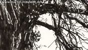 Zeichnung von Stamm und Ästen (Detail 4)