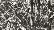 Lobetal Waldrand (Zeichnung) (Detail 2)