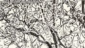 Lobetaler Baeume Brushpen (Detail 3)