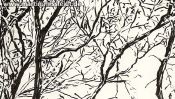 Lobetaler Baeume Brushpen (Detail 4)