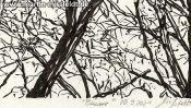 Lobetaler Baeume Brushpen (Detail 5)