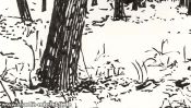 Schneewaldchen (Detail 1)
