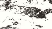Schneewaldchen (Detail 4)