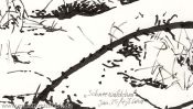 Schneewaldchen (Detail 5)