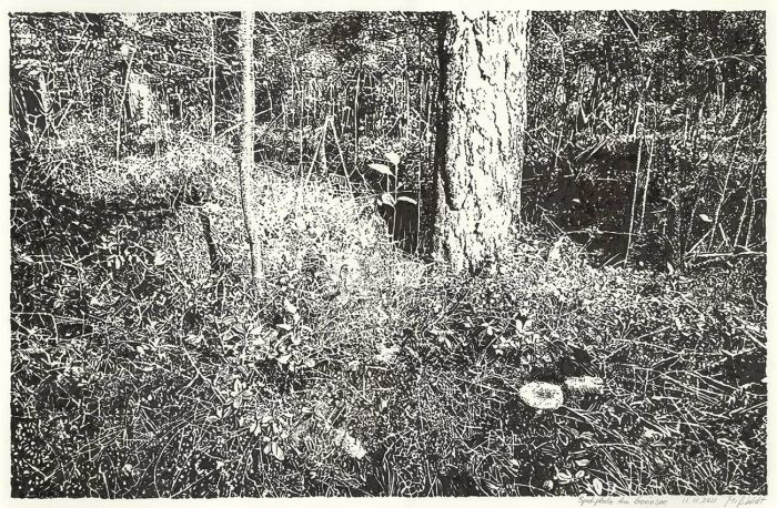 Spielplatz am Gorinsee (Zeichnung)