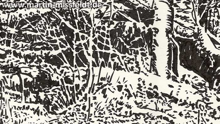 Wald Im Lobetal (Naturzeichnung) (Detail 1)