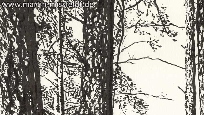 Wildpark Schorfheide 1 (Detail 1)