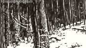 Der Winter umarmt den schlafenden Wald (Detail 1)