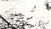 Der Winter umarmt den schlafenden Wald (Detail 3)