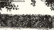 Wukensee (Grafik, Brush-Pen-Zeichnung) (Detail 1)